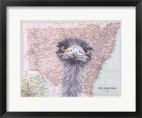Framed Emu