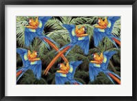 Framed Palm Parrot