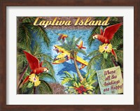 Framed Parrot Palm Clipper