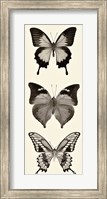 Framed Butterfly BW Panel I