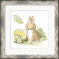 Framed Baby Woodland IV