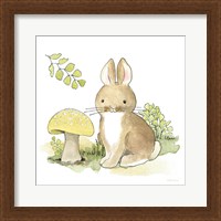 Framed 'Baby Woodland IV' border=