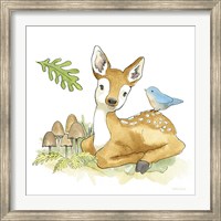 Framed Baby Woodland III