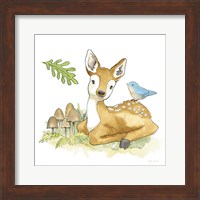 Framed Baby Woodland III