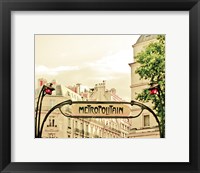 Framed Lily in Paris
