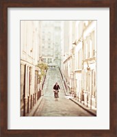 Framed Bicycle Thief