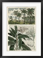 Journal of the Tropics I Framed Print