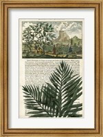 Framed Journal of the Tropics II