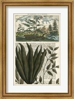 Framed Journal of the Tropics III