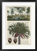 Framed Journal of the Tropics IV