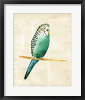 Fanciful Birds II Framed Print