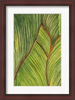 Framed Tropical Crop II