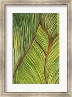 Framed Tropical Crop II