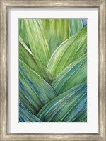 Framed Tropical Crop IV
