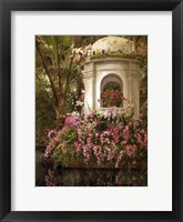 Framed Orchid Show