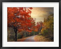 Framed Autumn Maples