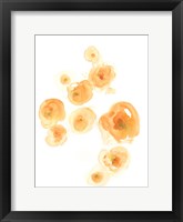 Falling Blossoms II Framed Print
