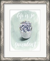 Framed Life is Succulent I