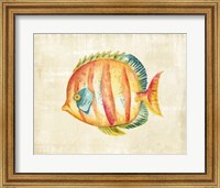 Framed Aquarium Fish II