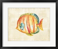 Framed Aquarium Fish II