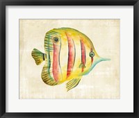Aquarium Fish III Framed Print