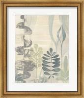 Framed Undersea Garden II