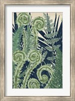 Framed Fiddlehead Waltz I