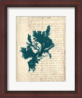 Framed Vintage Teal Seaweed IV