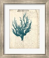Framed Vintage Teal Seaweed V