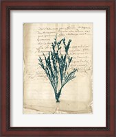 Framed Vintage Teal Seaweed VIII