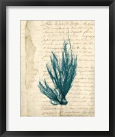Framed Vintage Teal Seaweed IX