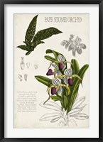 Orchid Field Notes I Framed Print