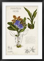 Orchid Field Notes II Framed Print