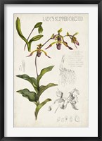Orchid Field Notes III Framed Print