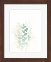 Framed Sprout Flowers II