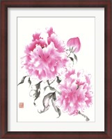 Framed Peonie Blossoms I