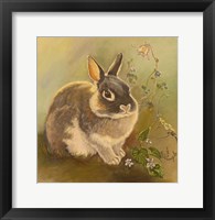 Framed Rabbit In Columbine