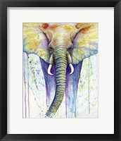 Framed Elephant Colors