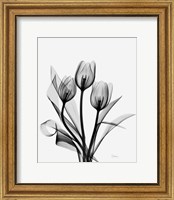 Framed Three Gray Tulips H14