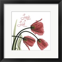 Framed Laugh Out Loud Tulips L83