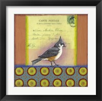 Framed Carte Postale Bird 2