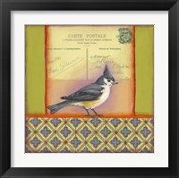 Framed Carte Postale Bird 5