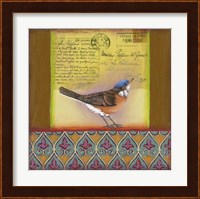 Framed Carte Postale Bird 6