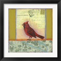 Framed Carte Postale Bird 8