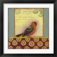 Framed Carte Postale Bird 12