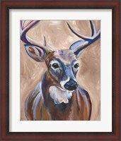 Framed Deer