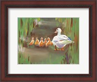 Framed Ducks