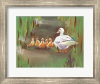 Framed Ducks