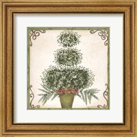 Framed Topiary III