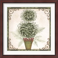 Framed Topiary IV